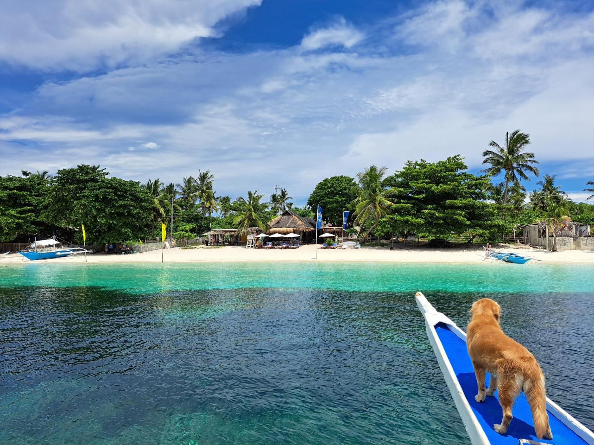 Avila'S Horizon Dive Resort Malapascua Extérieur photo