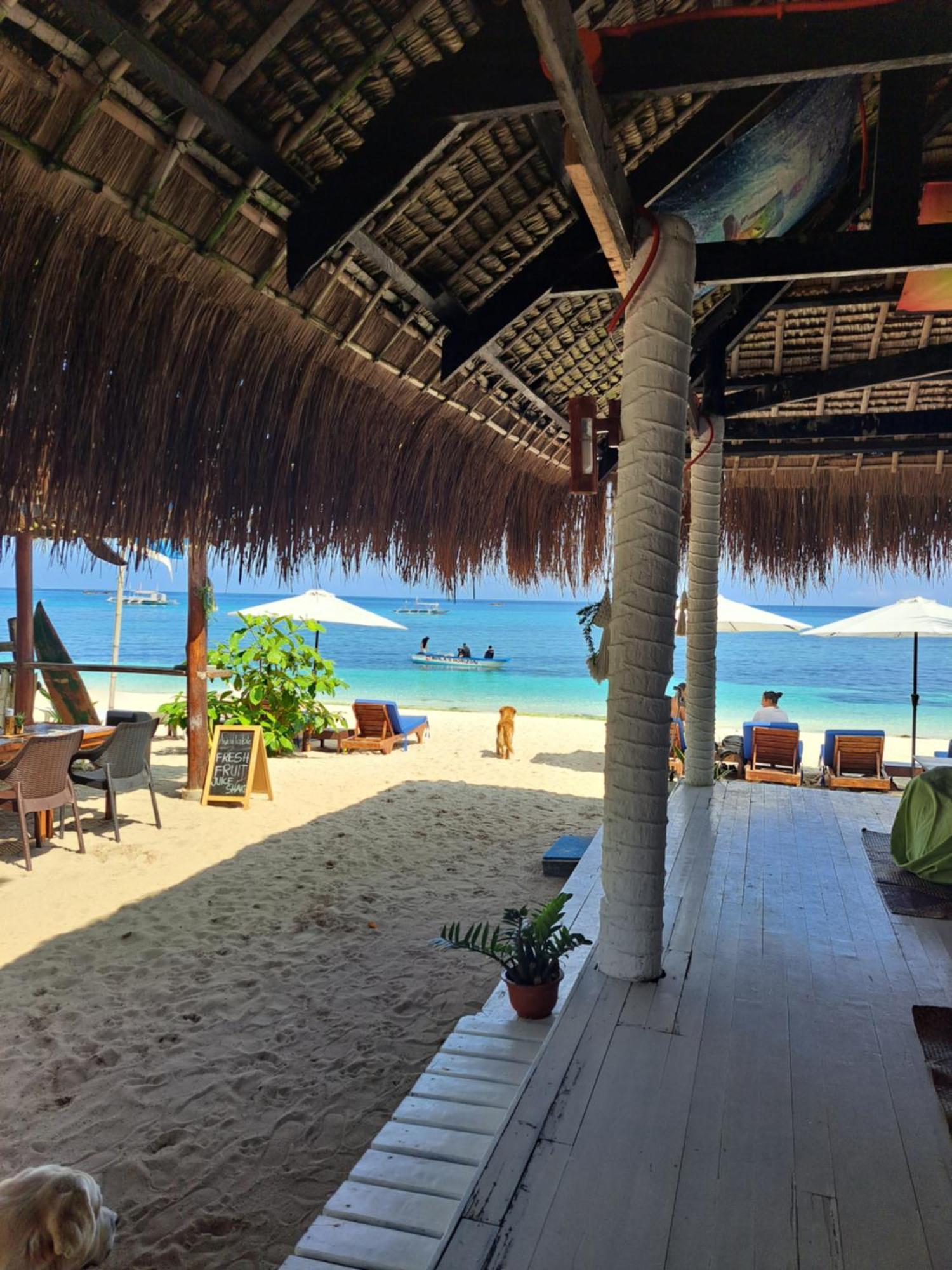 Avila'S Horizon Dive Resort Malapascua Extérieur photo