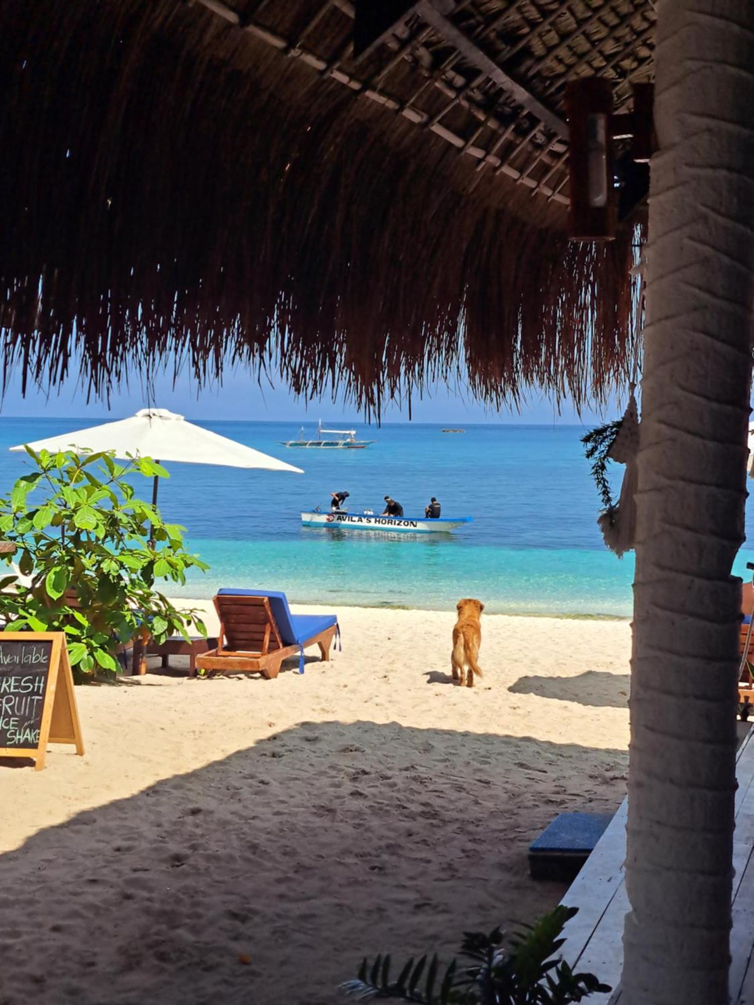 Avila'S Horizon Dive Resort Malapascua Extérieur photo
